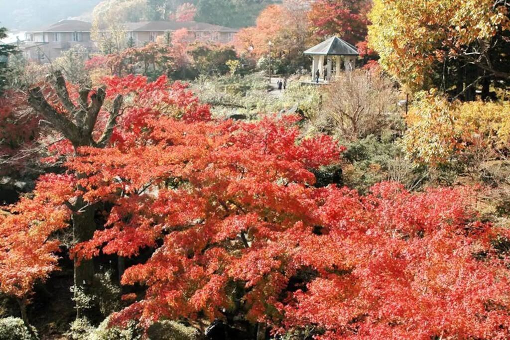 Forest Villa Hakone Exterior foto