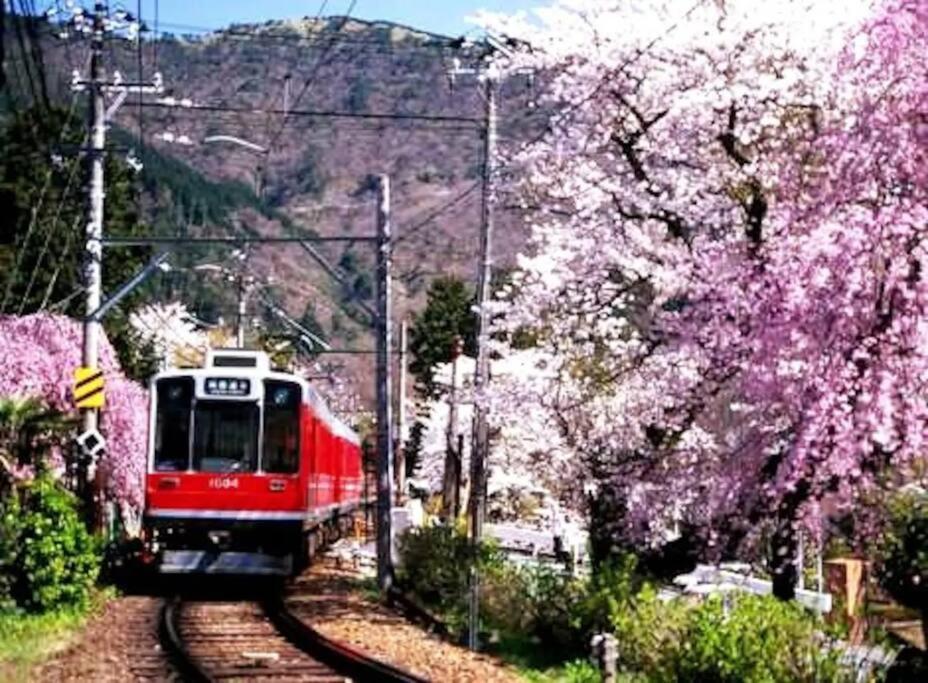 Forest Villa Hakone Exterior foto